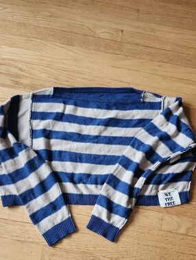 Striped Crop Sweater with 'WE THE FREE' Tag - Blue & Tan Womens Size M